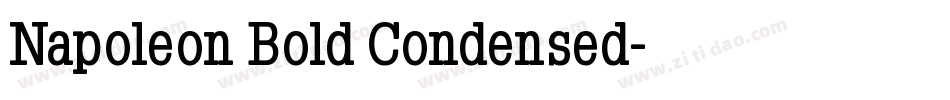 Napoleon Bold Condensed字体转换